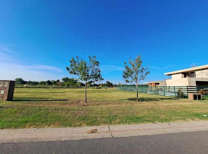 Terreno · 972m²