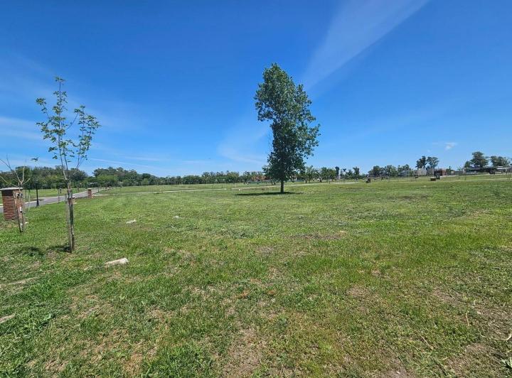 Terreno · 547m²