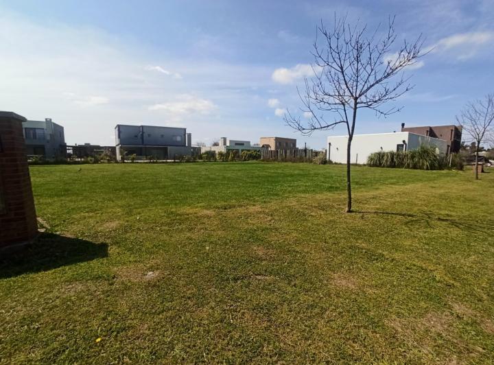 Terreno · 736m²