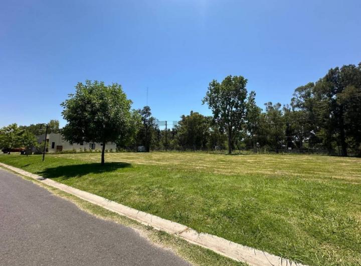 Terreno · 605m²