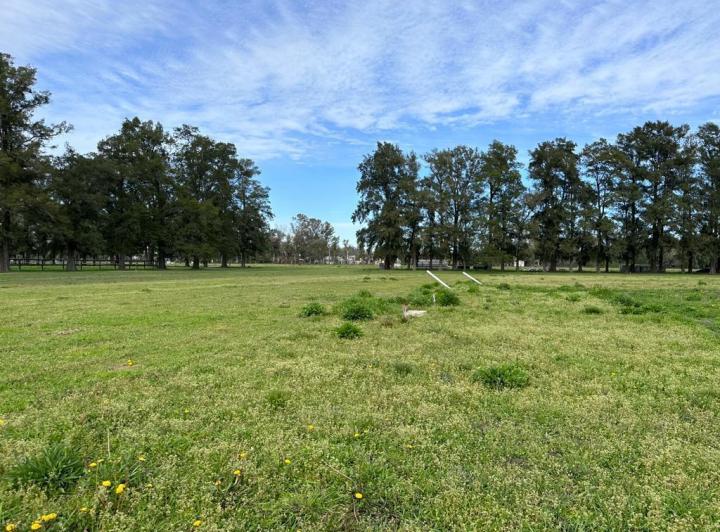 Terreno · 755m²