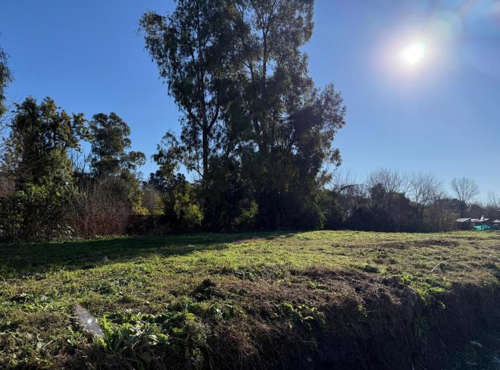 Terreno · 309m²