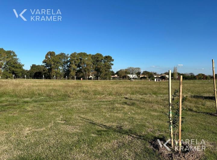 Terreno · 1240m²