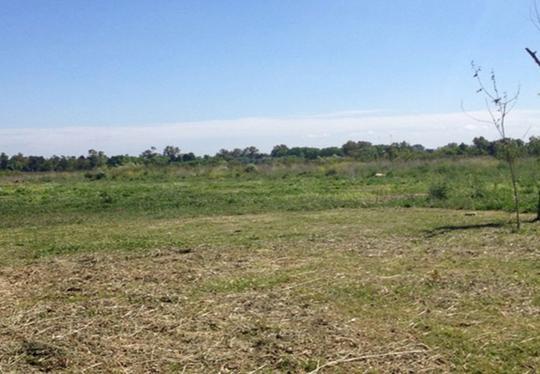 Terreno · 620m²