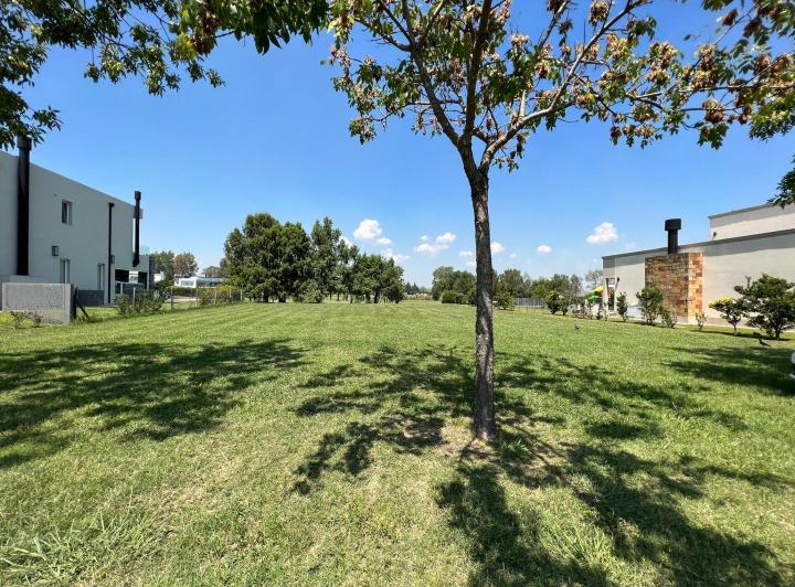 Terreno · 1126m²