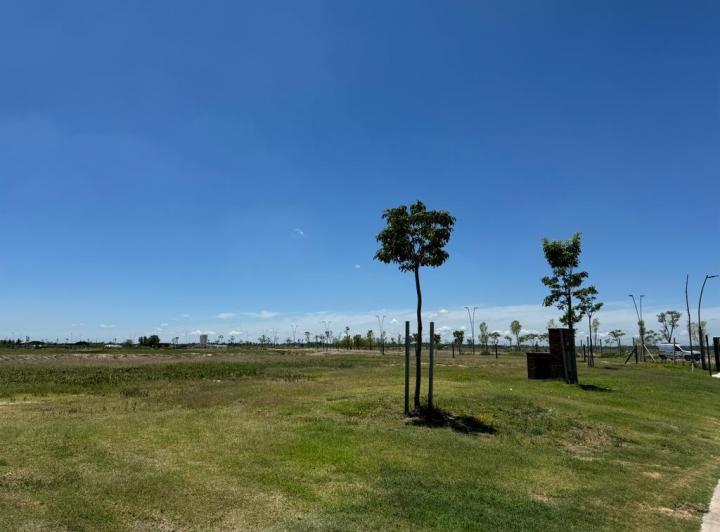 Terreno · 731m²