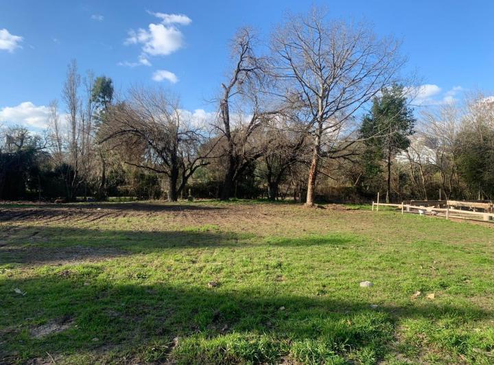 Terreno · 1077m²