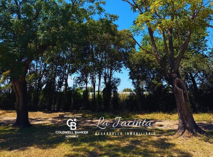 Terreno · 802m²