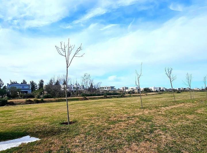 Terreno · 800m²