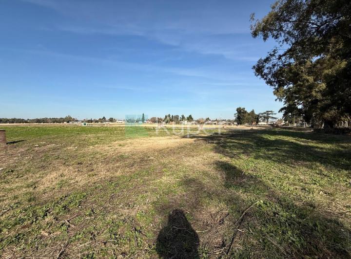 Terreno · 415m²