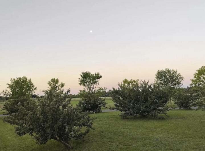 Terreno · 1246m²