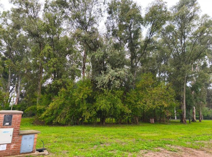 Terreno · 1528m²
