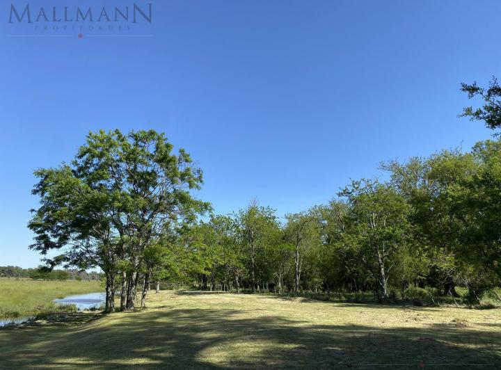 Terreno · 804m²