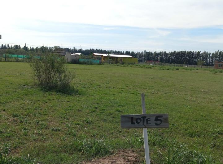 Terreno · 2000m²