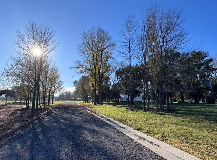 Terreno · 300m²