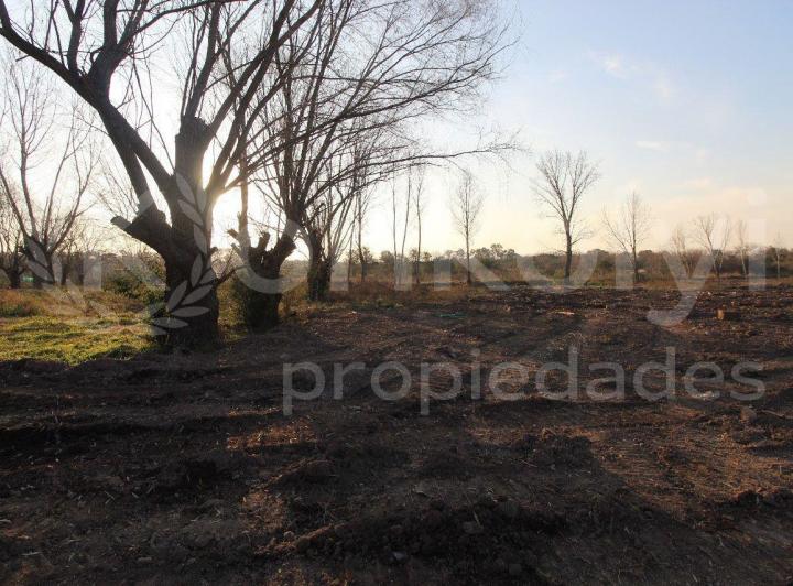 Terreno · 971m²