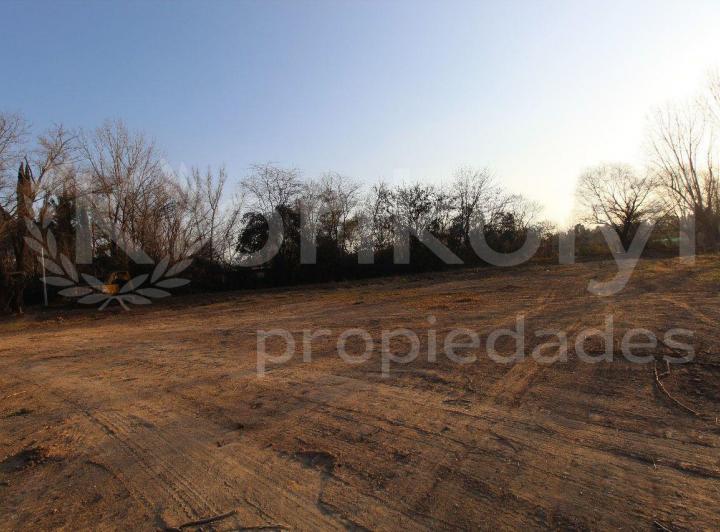 Terreno · 1000m²