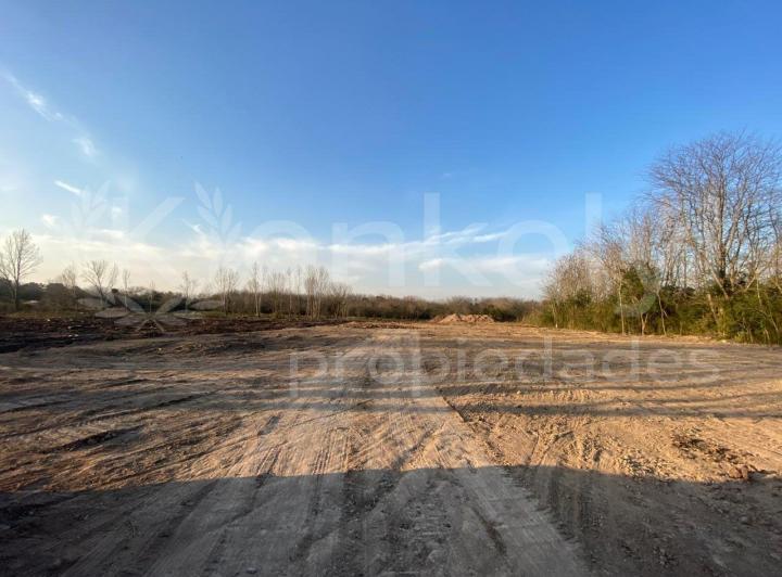 Terreno · 1556m²
