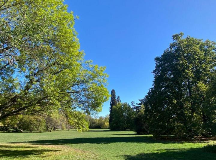 Terreno · 646m²