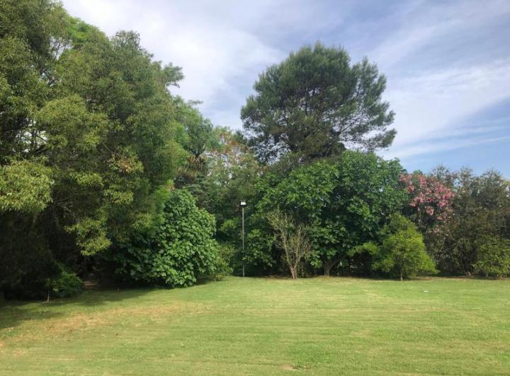 Terreno · 700m²