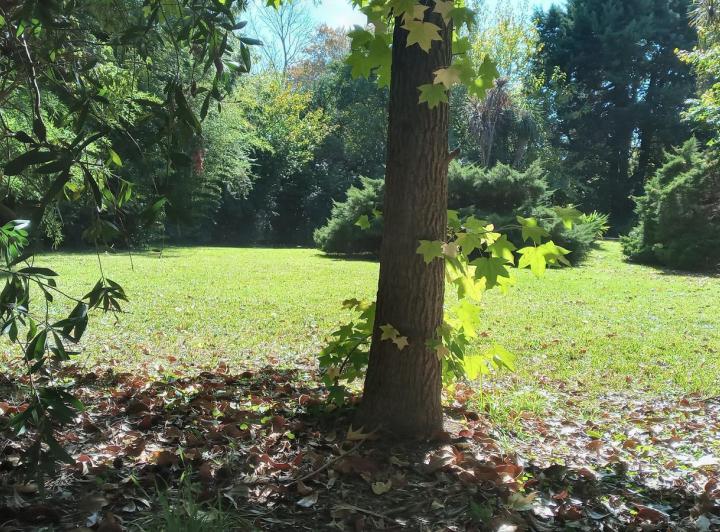 Terreno · 1m²