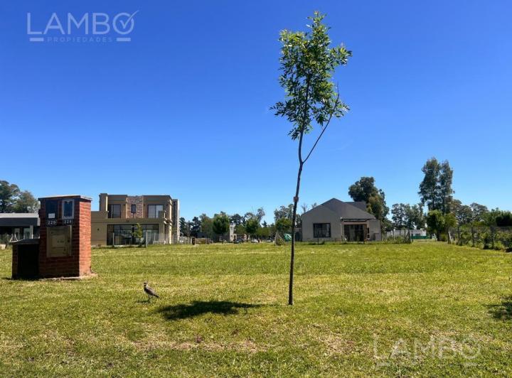 Terreno · 477m²