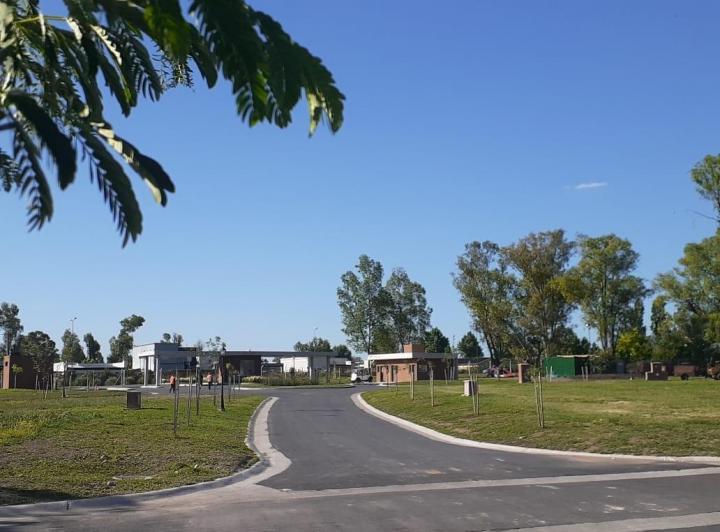 Terreno
