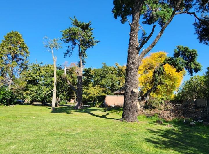 Terreno · 1146m²