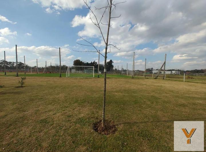 Terreno · 630m²