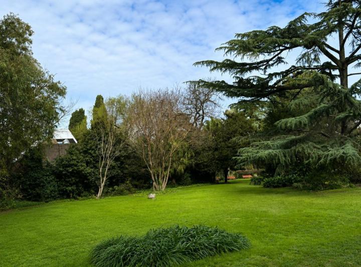 Terreno · 252m²