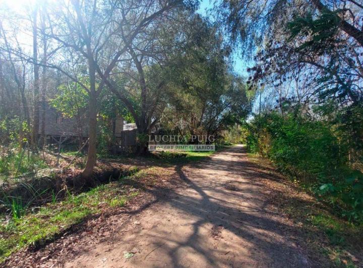 Terreno · 1000m²