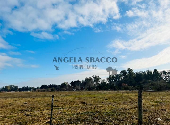 Terreno · 1500m²