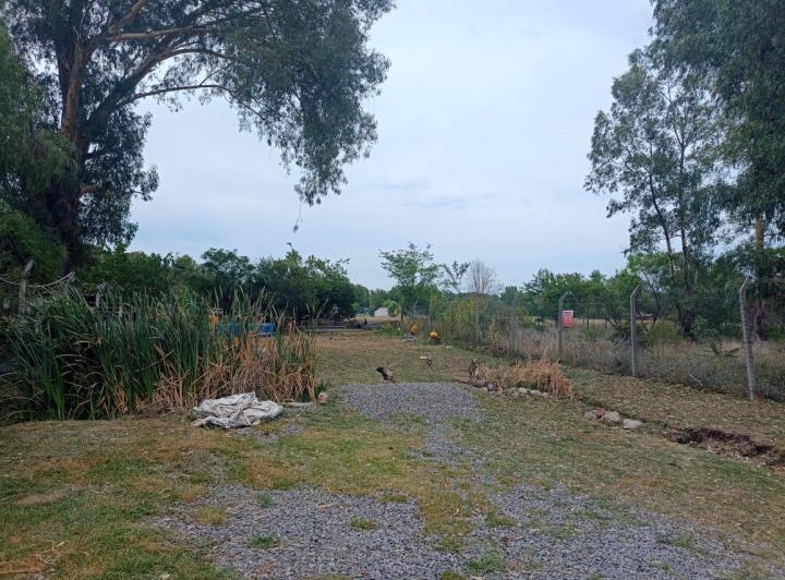 Terreno · 1m²
