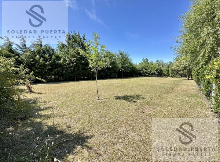 Terreno · 817m²