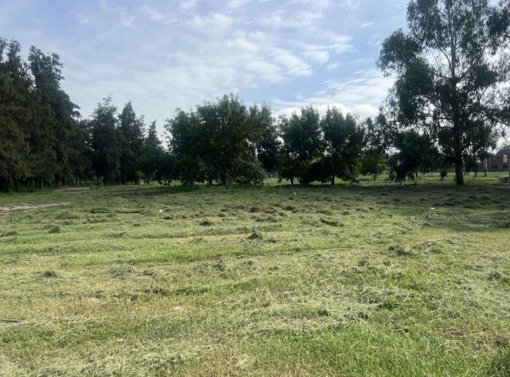 Terreno · 769m²