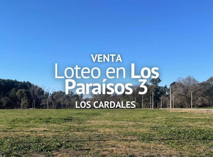Terreno · 313m²