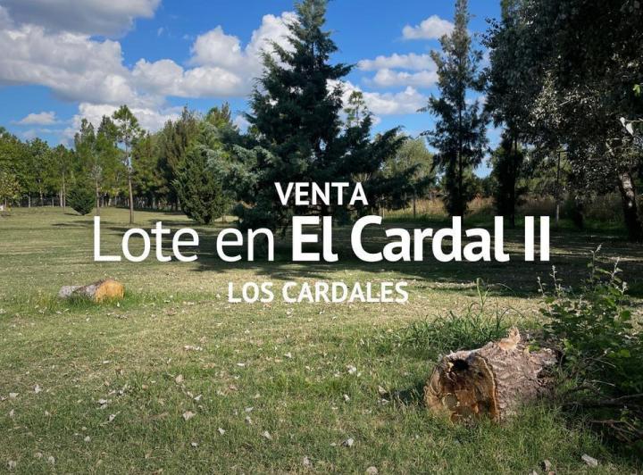 Terreno · 1061m²