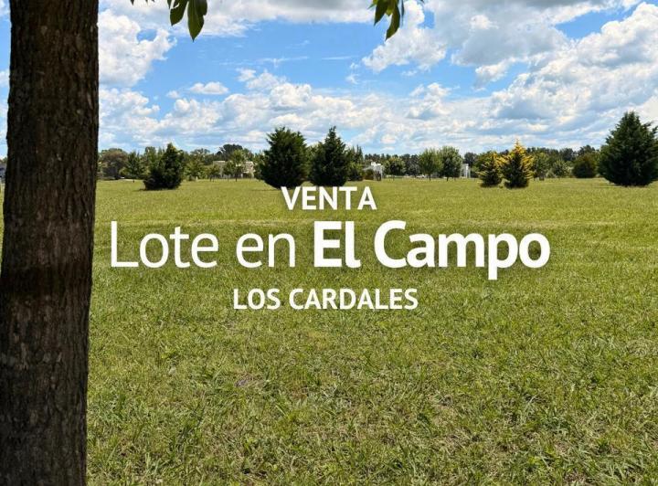 Terreno · 1000m²