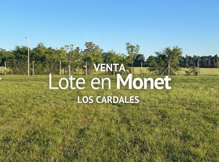 Terreno · 1000m²