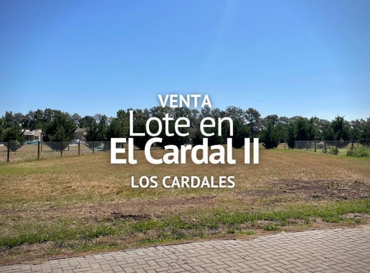 Terreno · 1284m²