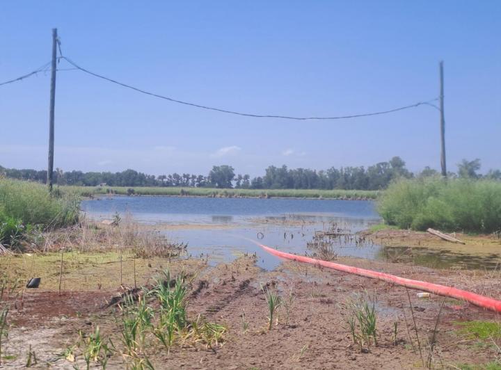 Terreno · 690m²