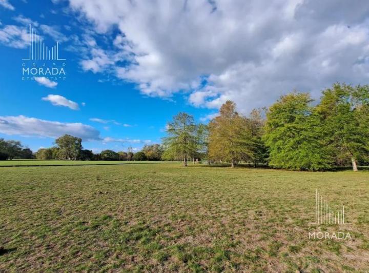 Terreno · 817m²