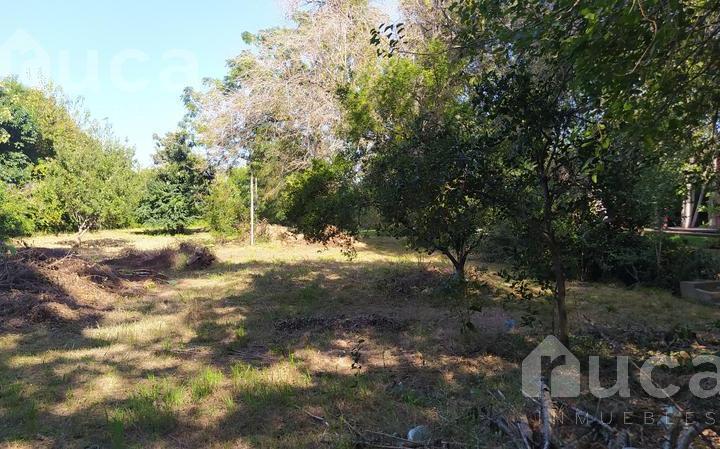 Terreno · 1844m²