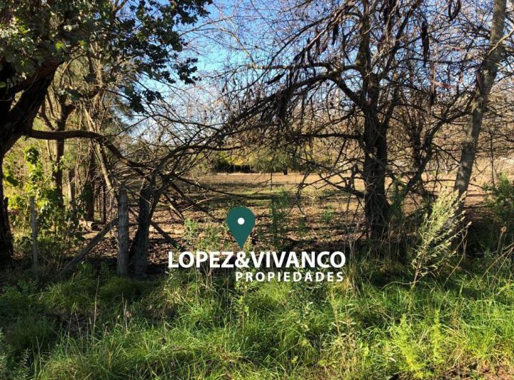 Terreno · 4500m²