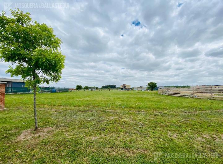 Terreno · 609m²
