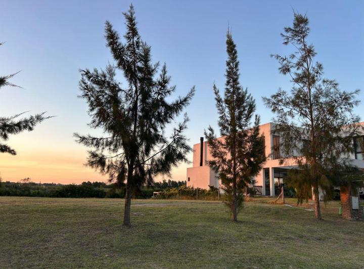 Terreno · 1016m²