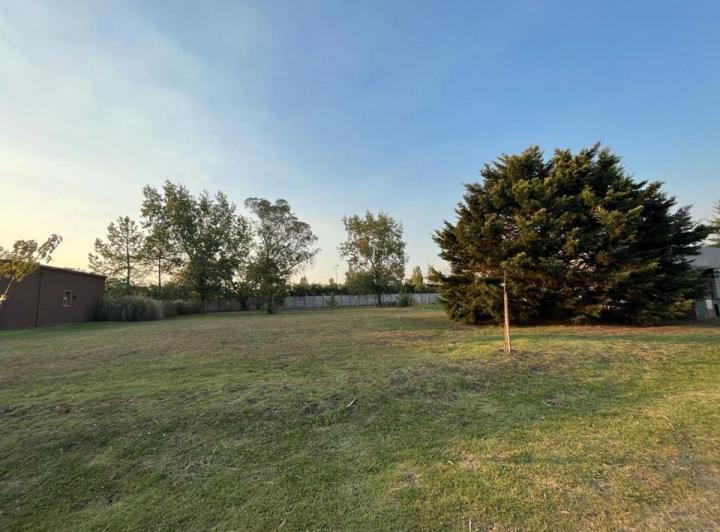 Terreno · 1350m²