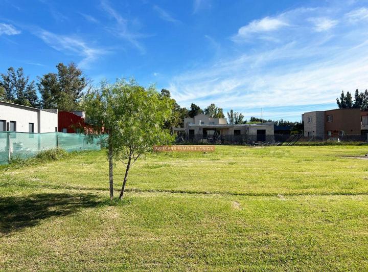 Terreno · 650m²