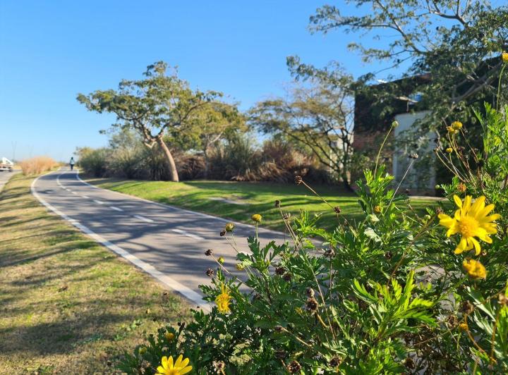 Terreno · 620m²