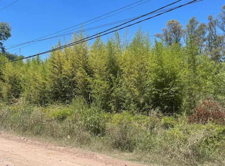 Terreno · 2830m²